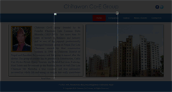 Desktop Screenshot of chitawoncoe.com.np